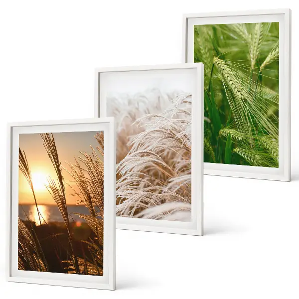 Wanddecoratie set schilderijen kleurrijke natuur met grassen