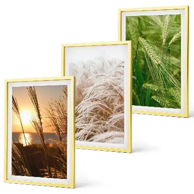 Wanddecoratie set schilderijen kleurrijke natuur met grassen