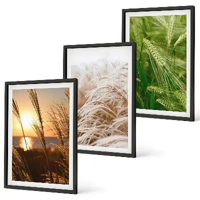 Wanddecoratie set schilderijen kleurrijke natuur met grassen