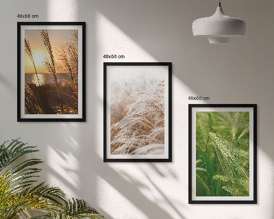 Wanddecoratie set schilderijen Grassen kleurrijke natuur