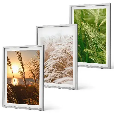Wanddecoratie set schilderijen kleurrijke natuur met grassen