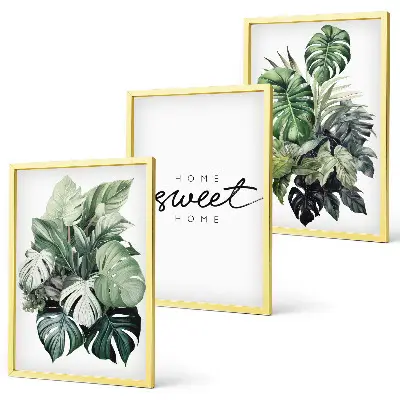 Fotowand met planten en de tekst Sweet Home