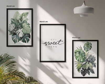Fotowand Planten met de woorden Sweet Home