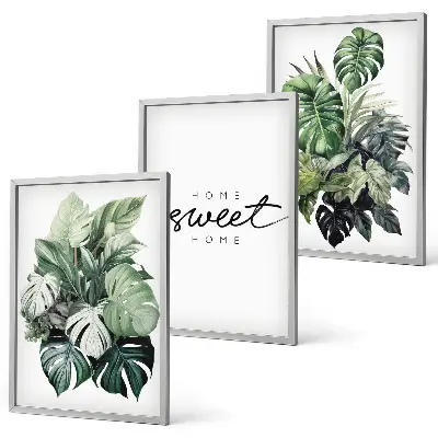 Fotowand met planten en de tekst Sweet Home