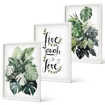 Wanddecoratieset schilderijen met bladerrijke planten en de tekst leven, lachen, houden van