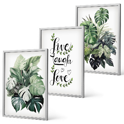 Wanddecoratie set schilderijen Bladrijke planten leven, lachen, houden van