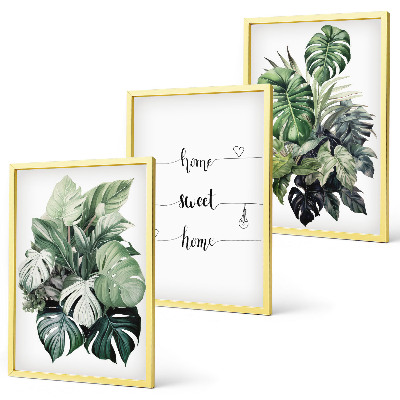 Wanddecoratie set schilderijen Aquarel Monstera-bladeren