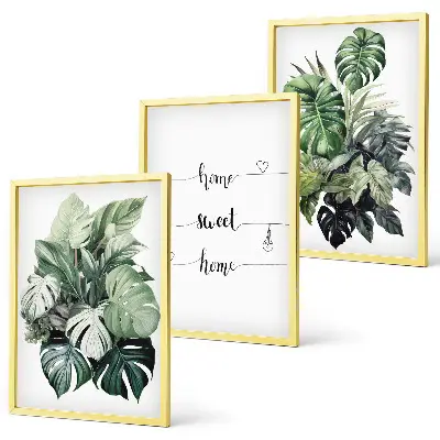 Wanddecoratie set schilderijen met aquarel monstera-bladeren