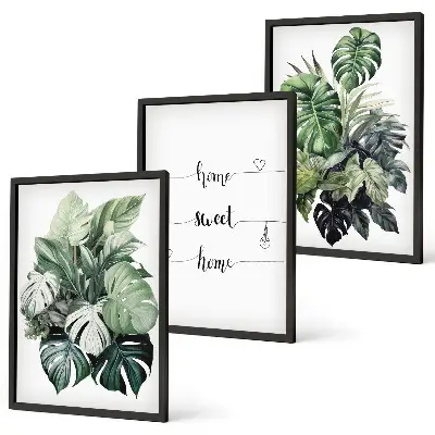 Wanddecoratie set schilderijen met aquarel monstera-bladeren