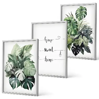 Wanddecoratie set schilderijen met aquarel monstera-bladeren