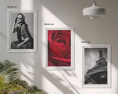 Wanddecoratie set schilderijen Parijse dame met Eiffel-bril