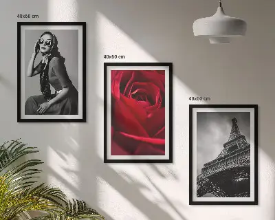 Wanddecoratie set schilderijen Parijse dame met Eiffel-bril