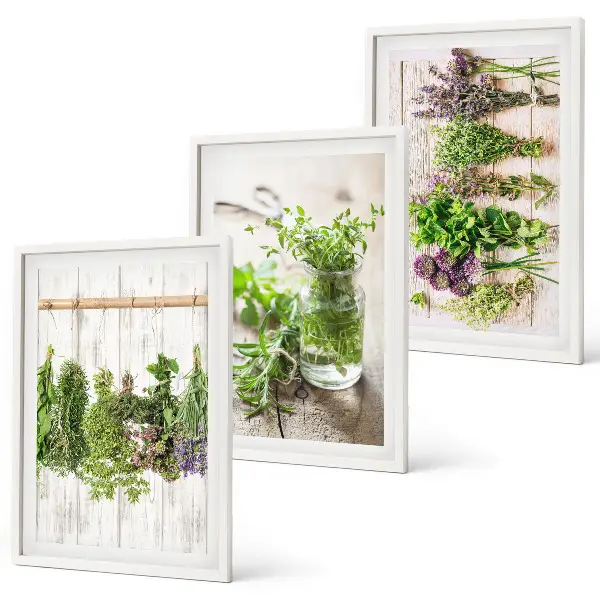 Schilderijenset kruidenplanten wanddecoratie voor in de keuken