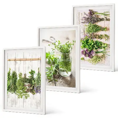 Schilderijenset kruidenplanten wanddecoratie voor in de keuken
