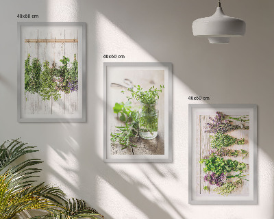 Wanddecoratie set schilderijen Kruidenplanten voor in de keuken