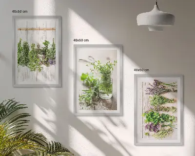 Schilderijenset kruidenplanten wanddecoratie voor in de keuken
