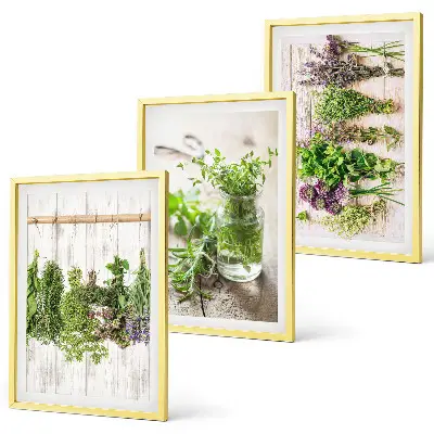 Schilderijenset kruidenplanten wanddecoratie voor in de keuken