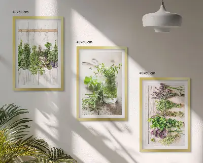 Schilderijenset kruidenplanten wanddecoratie voor in de keuken