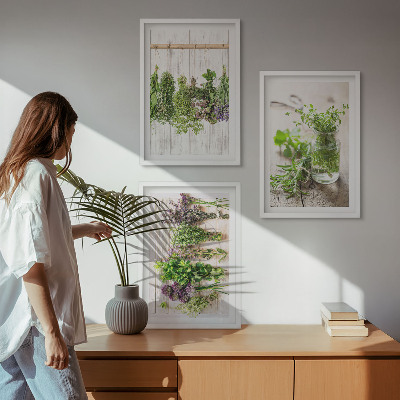 Wanddecoratie set schilderijen Kruidenplanten voor in de keuken