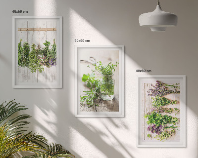 Wanddecoratie set schilderijen Kruidenplanten voor in de keuken