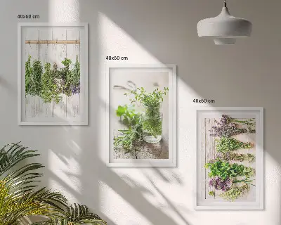 Schilderijenset kruidenplanten wanddecoratie voor in de keuken