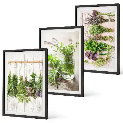 Schilderijenset kruidenplanten wanddecoratie voor in de keuken