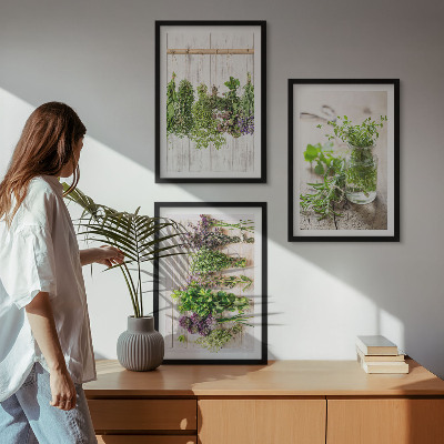 Wanddecoratie set schilderijen Kruidenplanten voor in de keuken