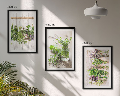 Wanddecoratie set schilderijen Kruidenplanten voor in de keuken