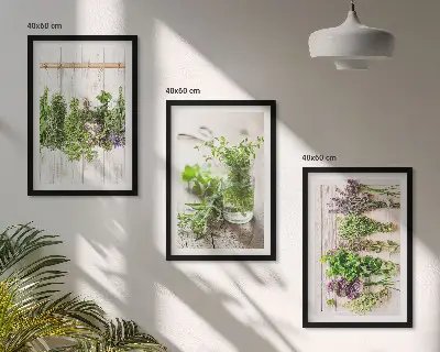 Schilderijenset kruidenplanten wanddecoratie voor in de keuken
