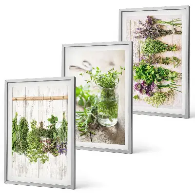 Schilderijenset kruidenplanten wanddecoratie voor in de keuken