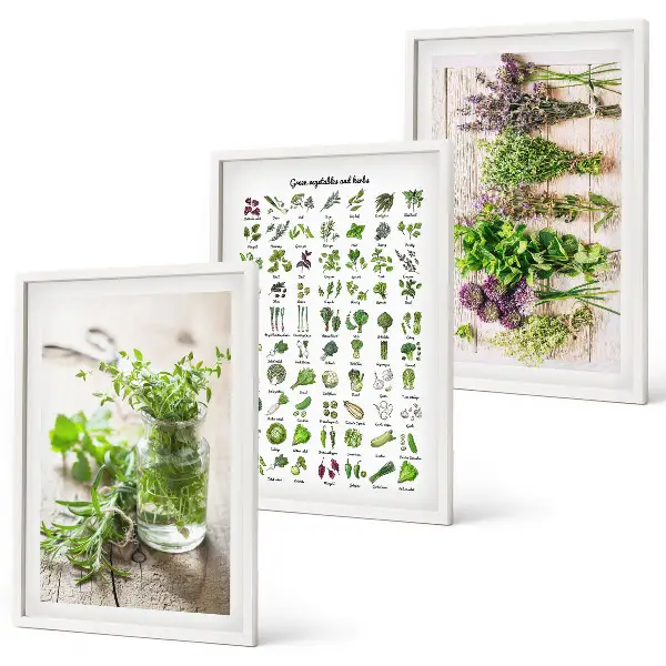Wanddecoratieset schilderijen met gedroogde kruiden voor in de keuken