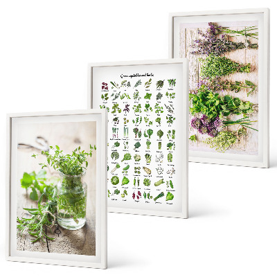 Wanddecoratie set schilderijen Gedroogde kruiden voor in de keuken