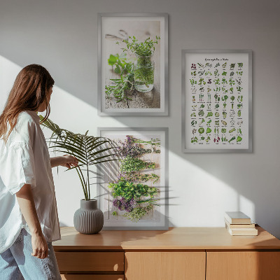 Wanddecoratie set schilderijen Gedroogde kruiden voor in de keuken