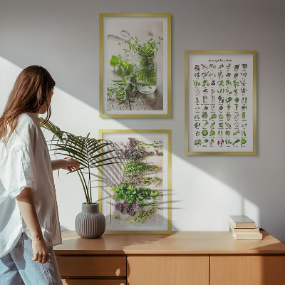 Wanddecoratie set schilderijen Gedroogde kruiden voor in de keuken
