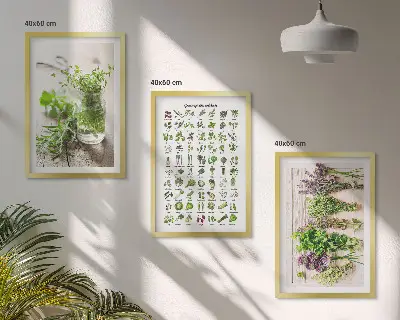 Wanddecoratieset schilderijen met gedroogde kruiden voor in de keuken