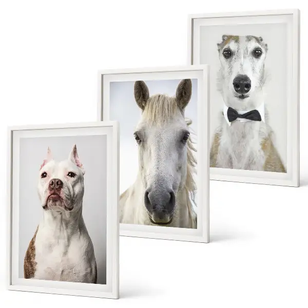 Wanddecoratie set schilderijen Elegante portretten van honden en paarden.