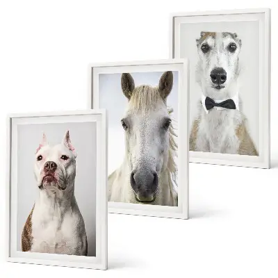 Wanddecoratie set schilderijen Elegante portretten van honden en paarden.