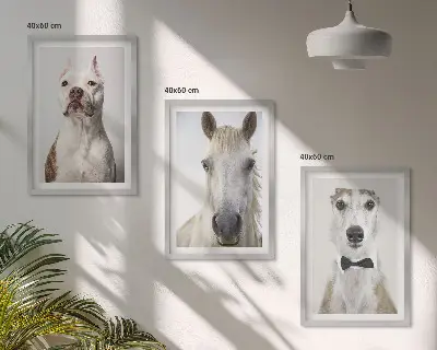 Wanddecoratie set schilderijen Elegante portretten van honden en paarden.