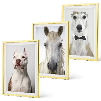 Wanddecoratie set schilderijen Elegante portretten van honden en paarden.