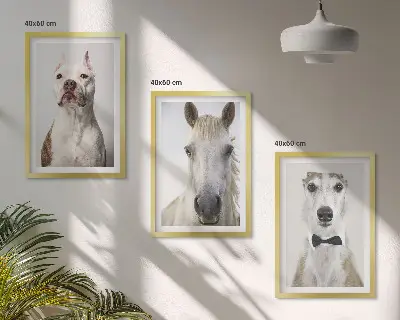 Wanddecoratie set schilderijen Elegante portretten van honden en paarden.