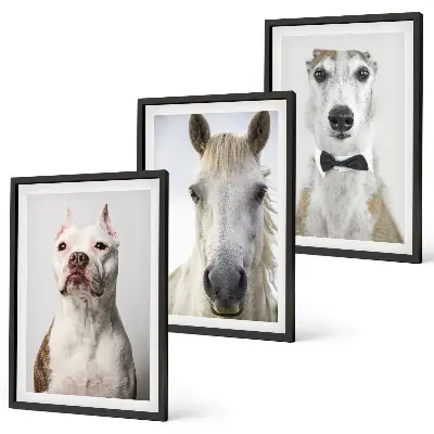 Wanddecoratie set schilderijen Elegante portretten van honden en paarden.