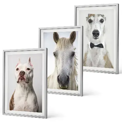 Wanddecoratie set schilderijen Elegante portretten van honden en paarden.