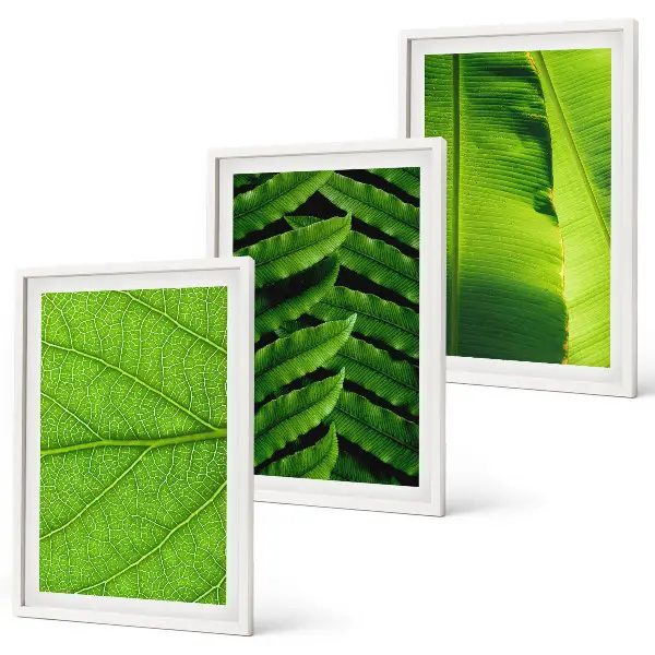 Wanddecoratie set schilderijen met macrofotografie van tropische bladeren