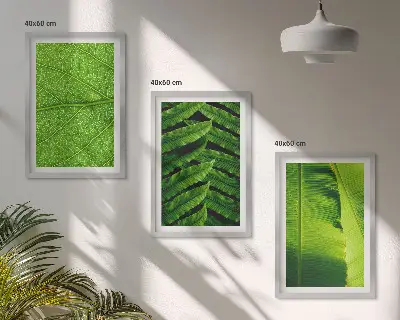 Wanddecoratie set schilderijen met macrofotografie van tropische bladeren