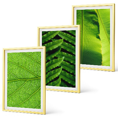 Wanddecoratie set schilderijen Macrofotografie van tropische bladeren