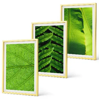 Wanddecoratie set schilderijen met macrofotografie van tropische bladeren