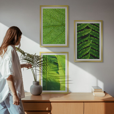 Wanddecoratie set schilderijen Macrofotografie van tropische bladeren