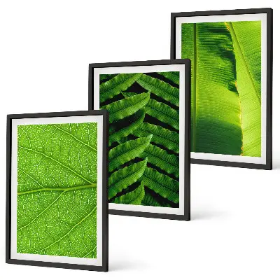 Wanddecoratie set schilderijen met macrofotografie van tropische bladeren