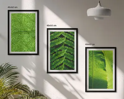 Wanddecoratie set schilderijen met macrofotografie van tropische bladeren