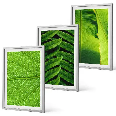 Wanddecoratie set schilderijen met macrofotografie van tropische bladeren